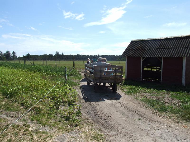 Sofia i  FarmFun 155.jpg